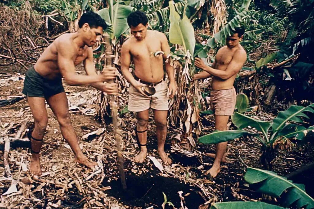 Tongan Castaway (PHOTO: JOHN CARNEMOLLA)
