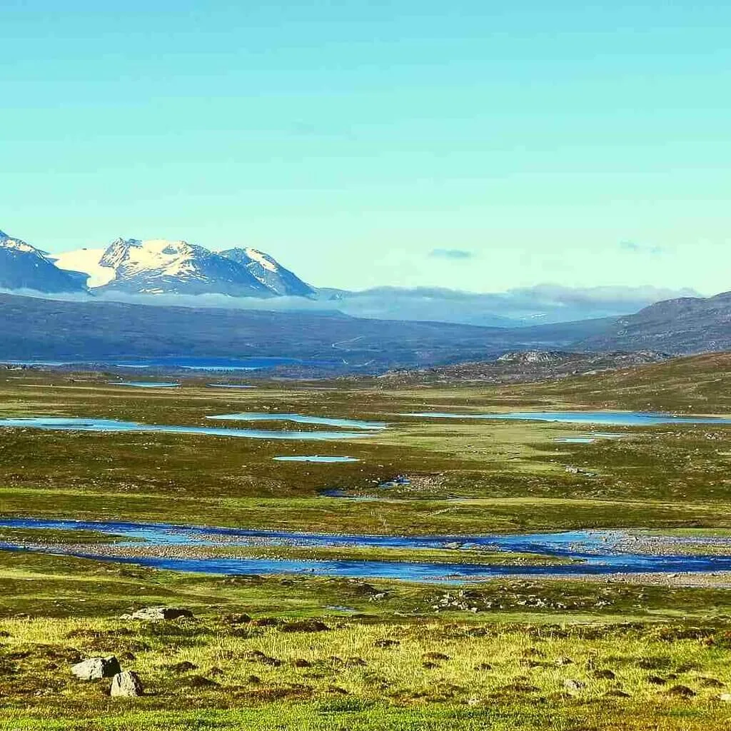 Artic tundra
