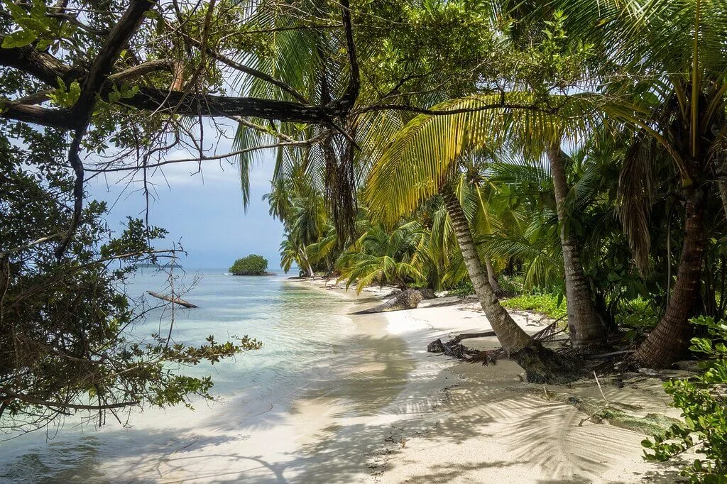 Jungle beach pearl islands