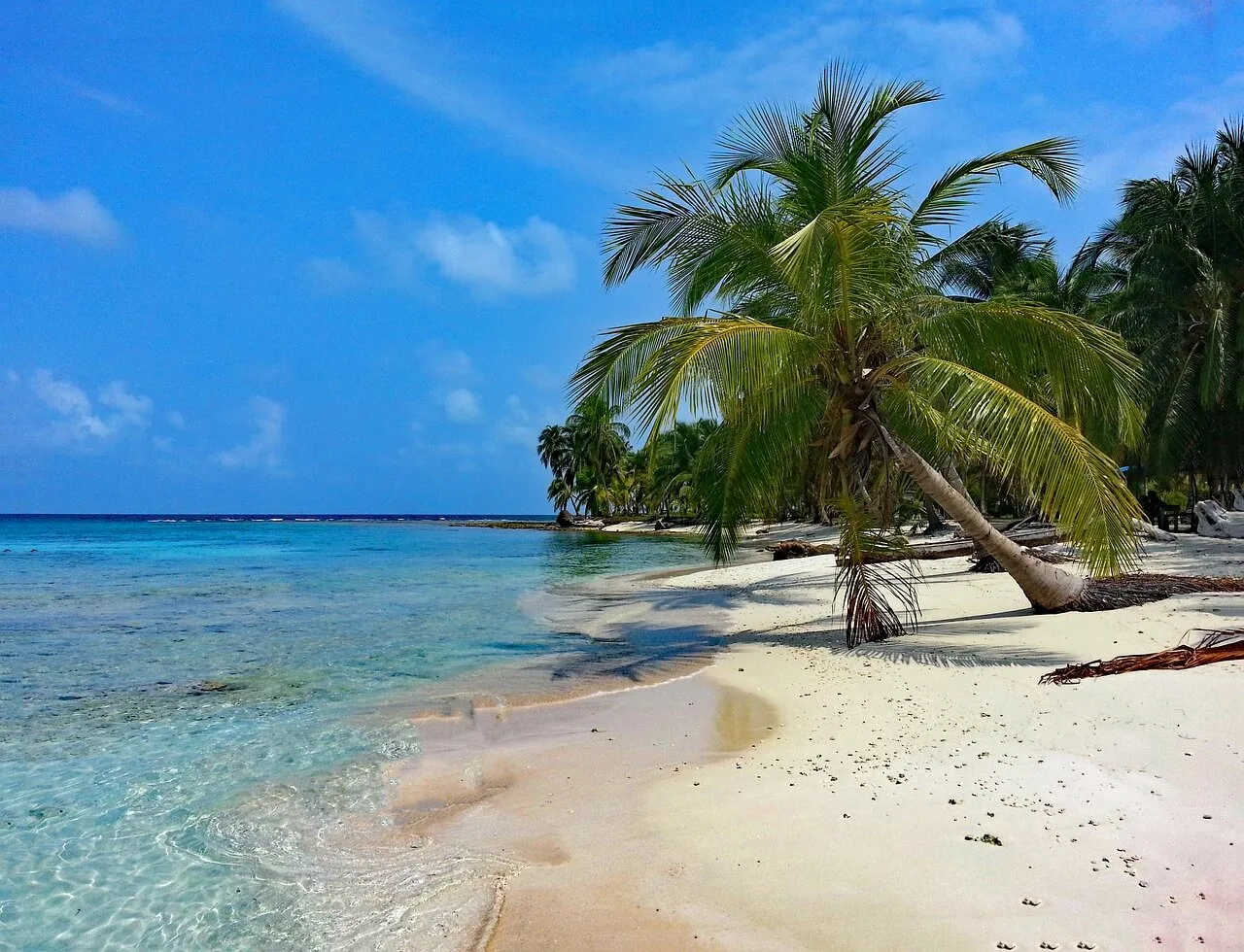 White sand beach with palm trees in the Pearl Islands