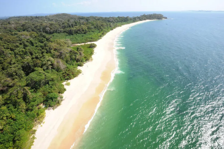 Remote tropical island beach with lush green forest and clear ocean waters.