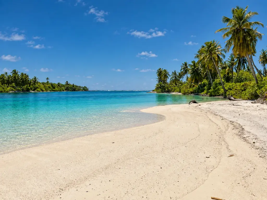 White sand beach and clear turquoise lagoon lined with palms in the Maldives