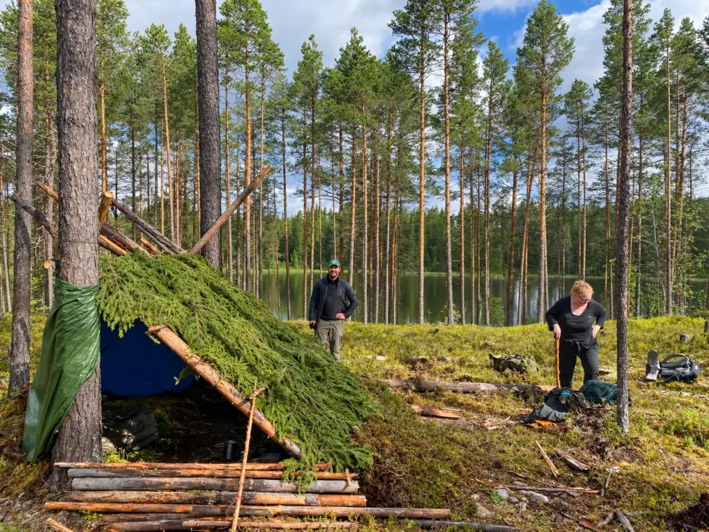 Moss-covered survival shelter in a Swedish pine forest