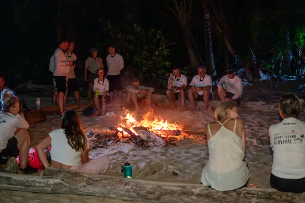 Group gathered around a beach campfire at night under the palms