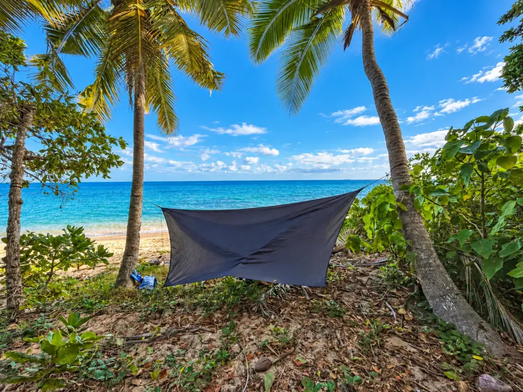 Tarp camp strung between palm trees above a turquoise beach
