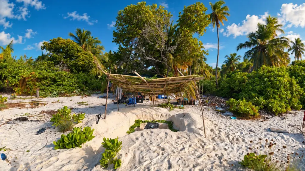 Palm-frond shelter on a white sand beach backed by tropical island forest