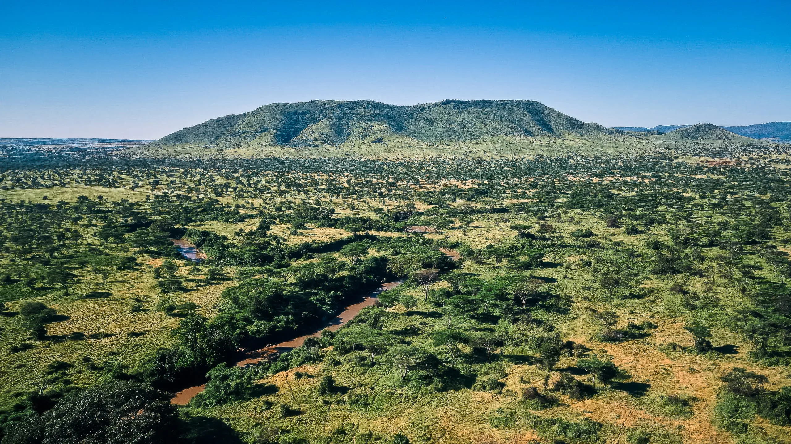 Aerial view of a green savanna landscape with scattered trees, a winding river, and a large, flat-topped hill under a clear blue sky, perfect for a Hadza Tribal Bushcraft Experience & Luxury Safari adventure.