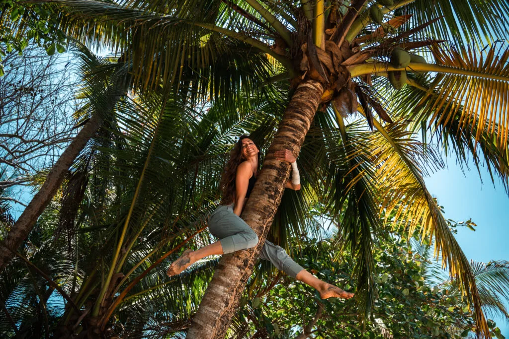 Woman climbing a palm tree on a tropical beach. Private Adventures in nature.