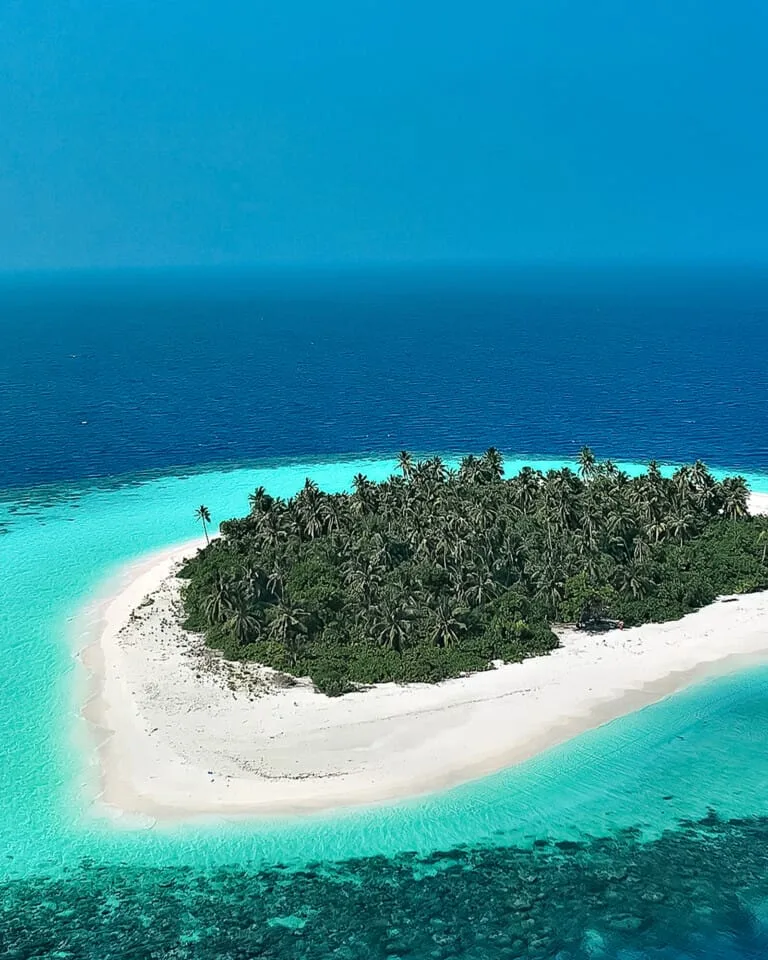 A small tropical island with dense palm trees sets the stage for an Island Survival Adventure in the Maldives, surrounded.