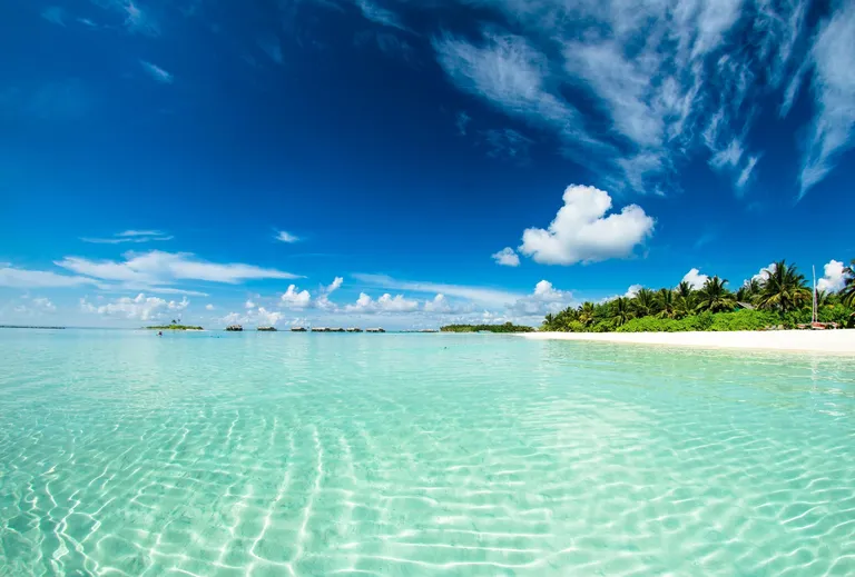 Sunlit tropical beach with clear turquoise waters, lush palm trees, and a bright blue sky, perfect for a desert island.