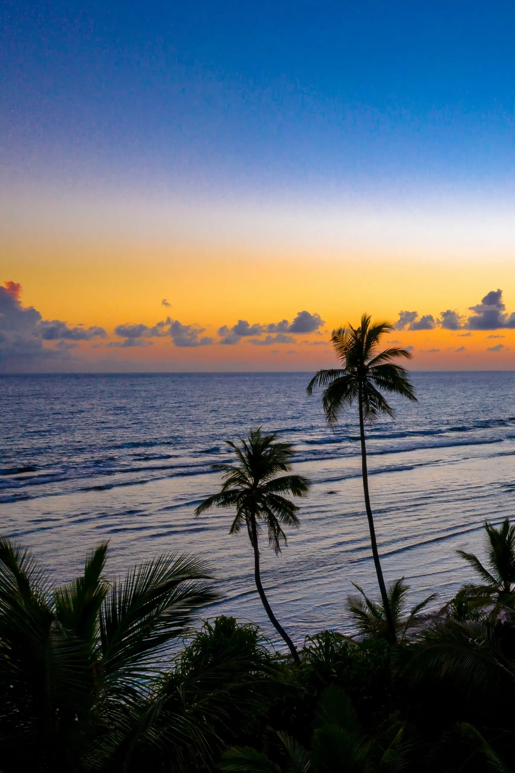 A calm tropical beach at sunset sets the stage for an Island Survival Adventure in the Maldives, with palm trees.