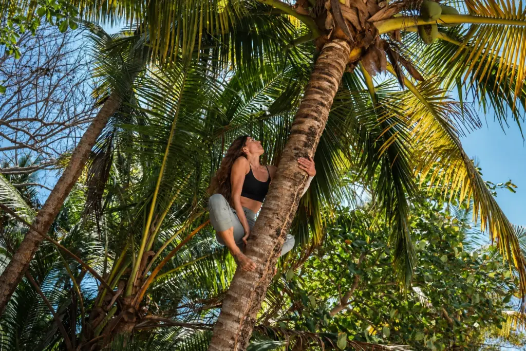Woman climbing a coconut palm tree during a Desert Island Survival adventure
