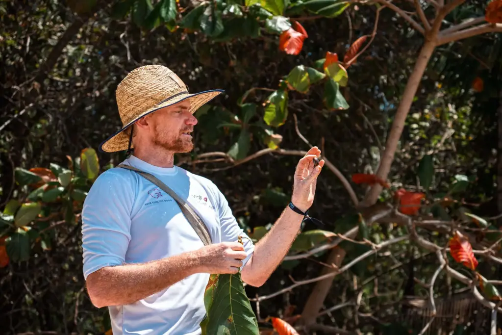 A man in a straw hat examining a small object in his hand amidst tropical foliage on a desert island survival adventure.