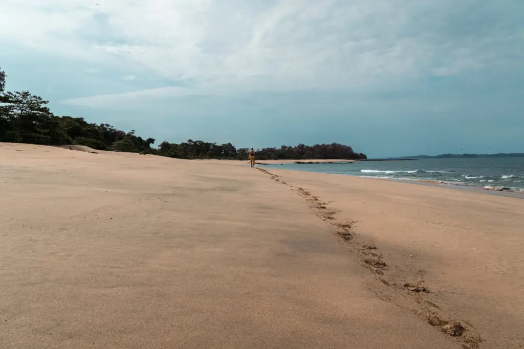 Footprints on deserted tropical beach at sunset, adventure, survival, isolation, nature exploration, desert island, ocean view, solitude.