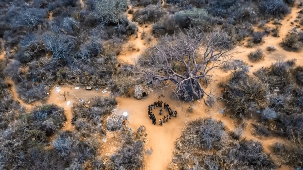 Remote desert island survival camp with dry trees and basic shelter, emphasizing outdoor survival skills and wilderness endurance.