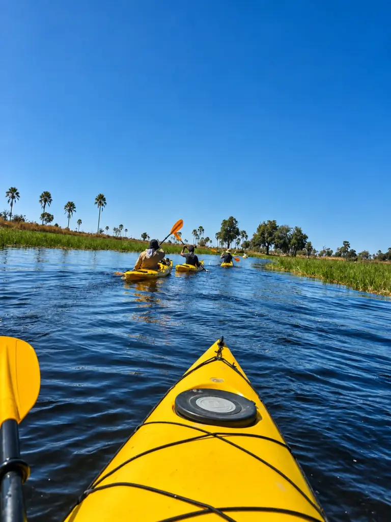 A yellow kayak bow points down an Okavango channel towards other paddlers under a blue sky