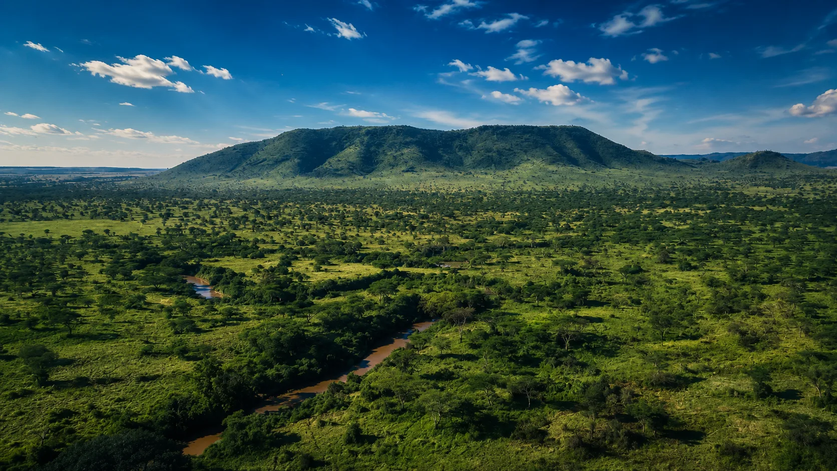 Lush green savanna with a winding river leading to a large, tree-covered mountain under a blue sky.