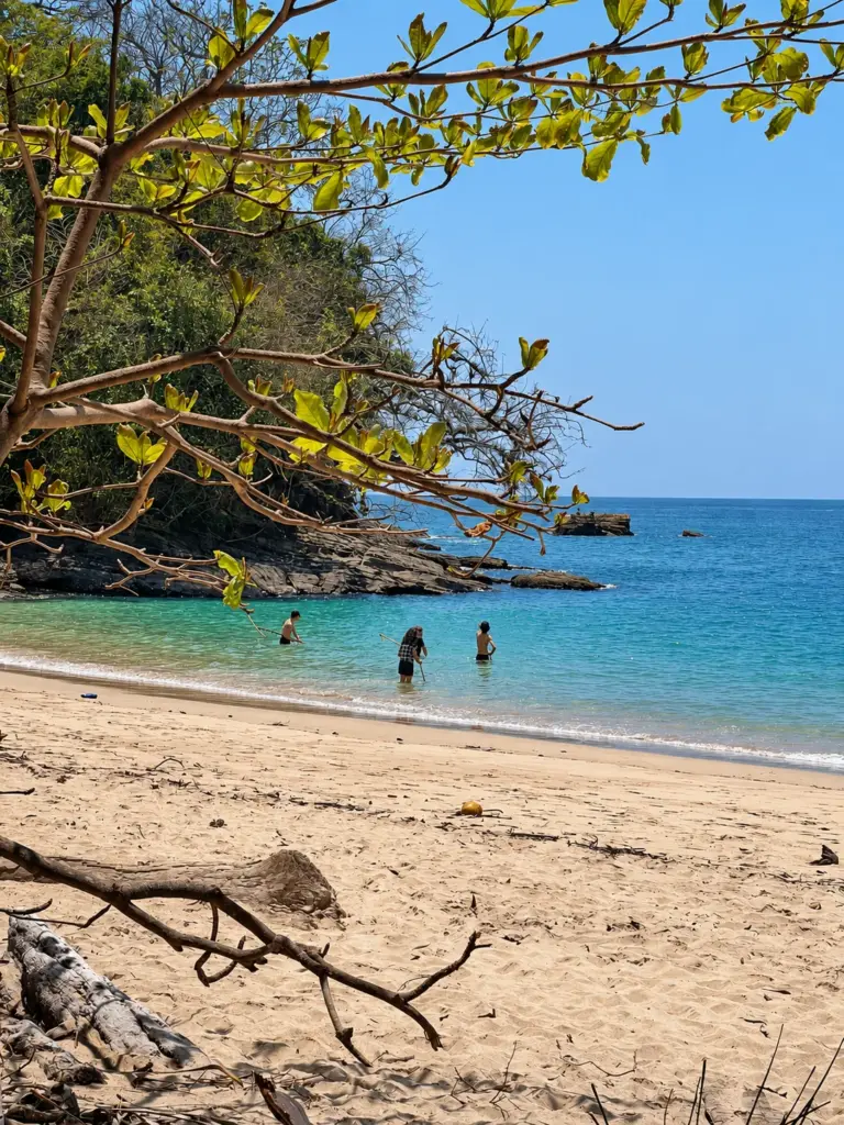 A quiet cove with a sandy beach and forested headland on a Panama island