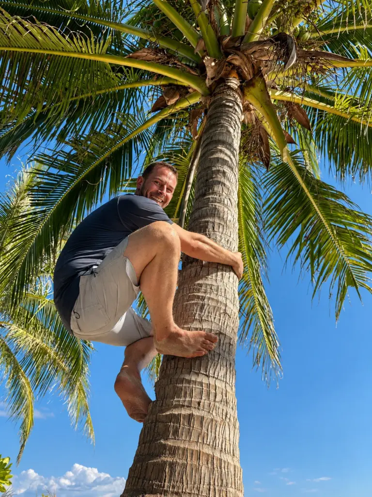 A participant climbs a coconut palm against the blue sky