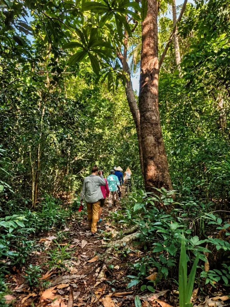 The group treks through dense Philippine jungle