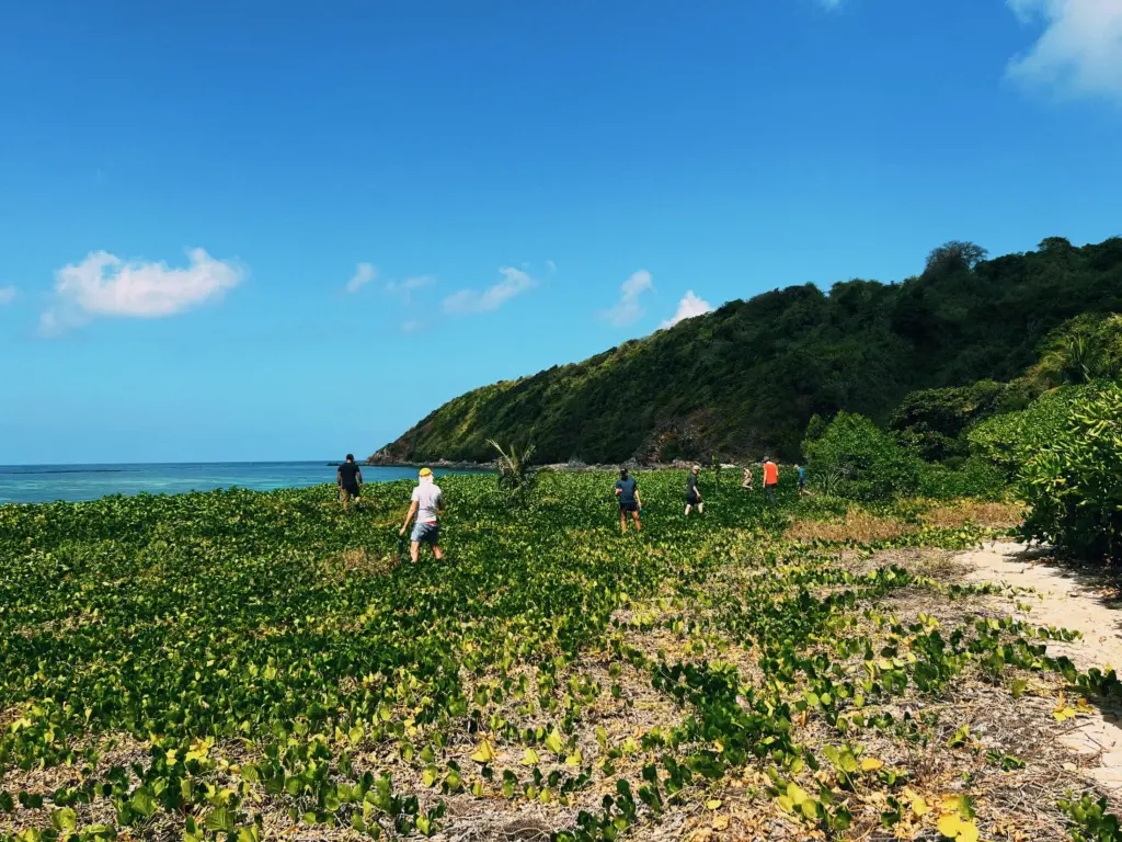 People walking through a green coastal field towards a wooded hillside under a bright blue sky.