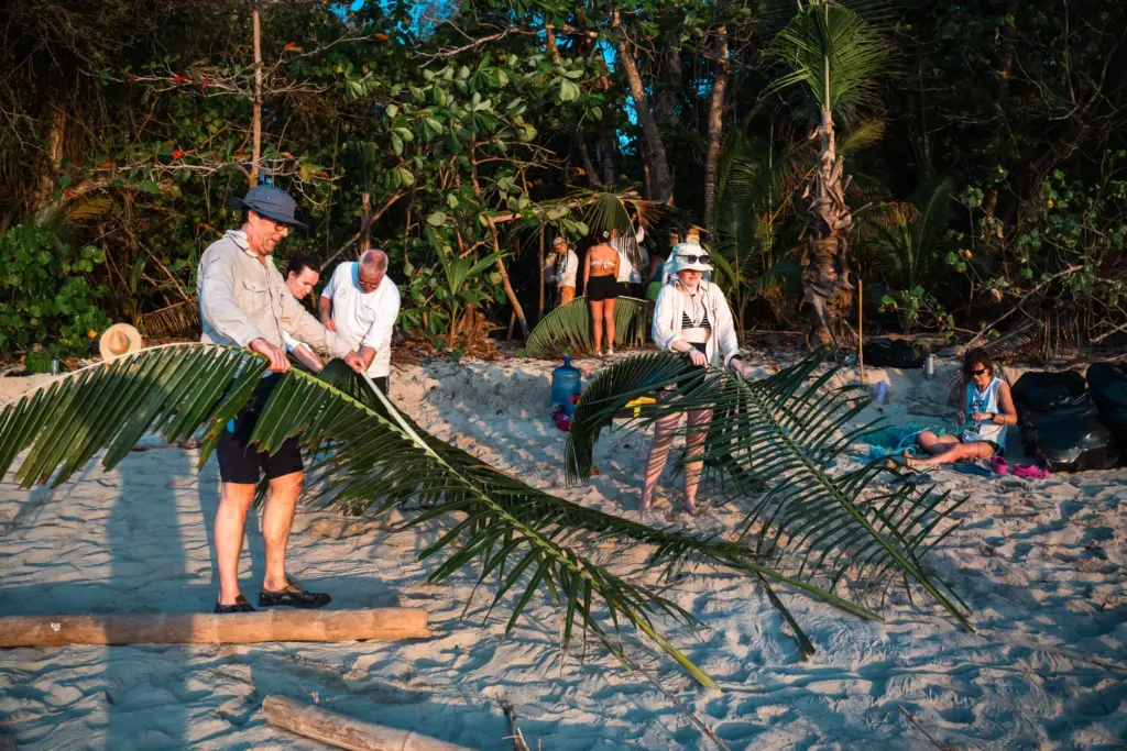 People building a palm frond shelter on a sandy beach at sunset.