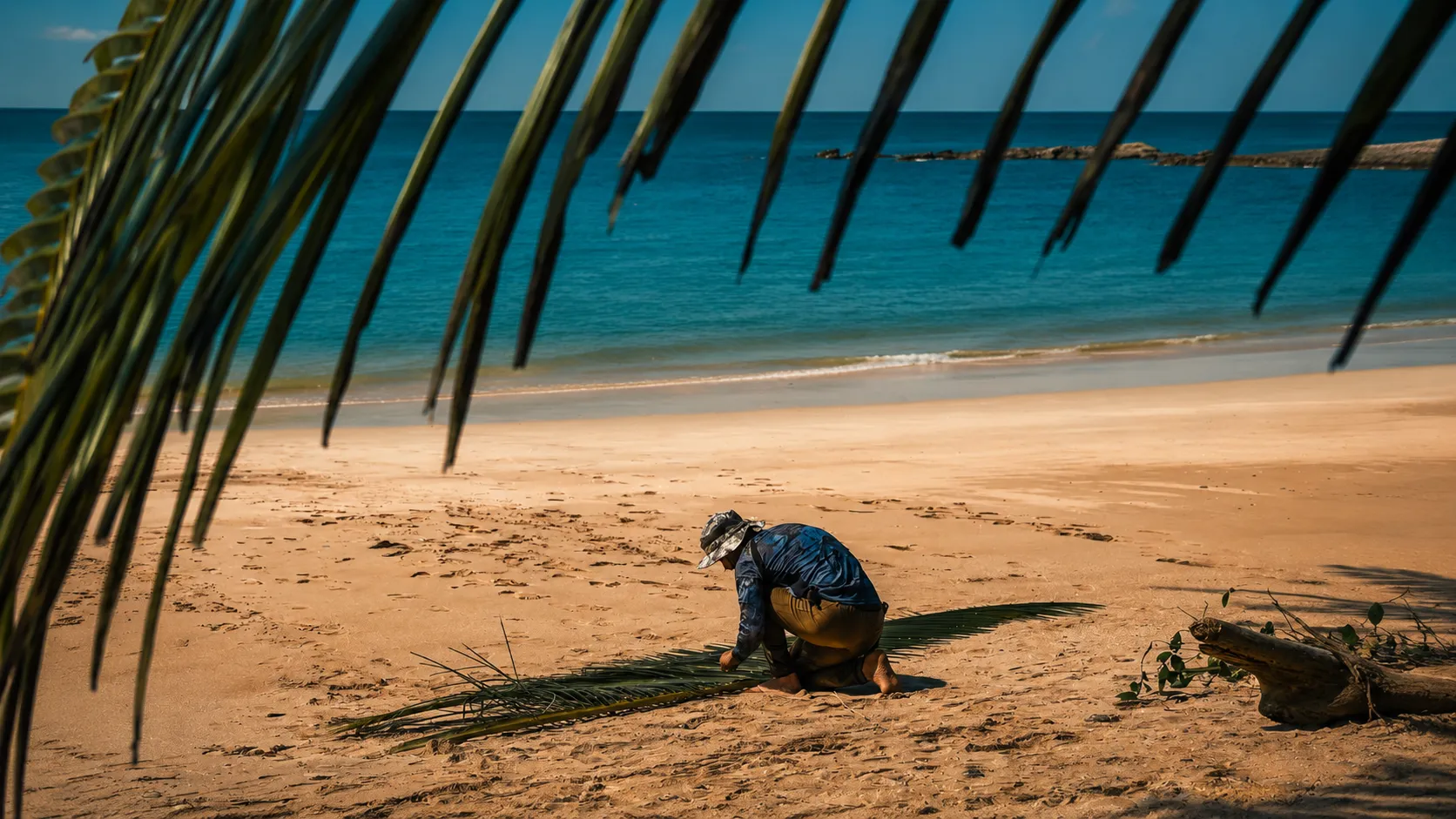 Person gathering palm fronds on a sandy beach with turquoise ocean