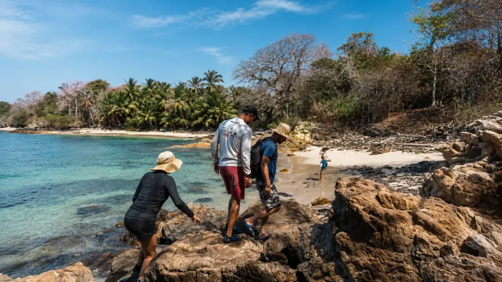 Person gathering palm fronds on a sandy beach with turquoise ocean