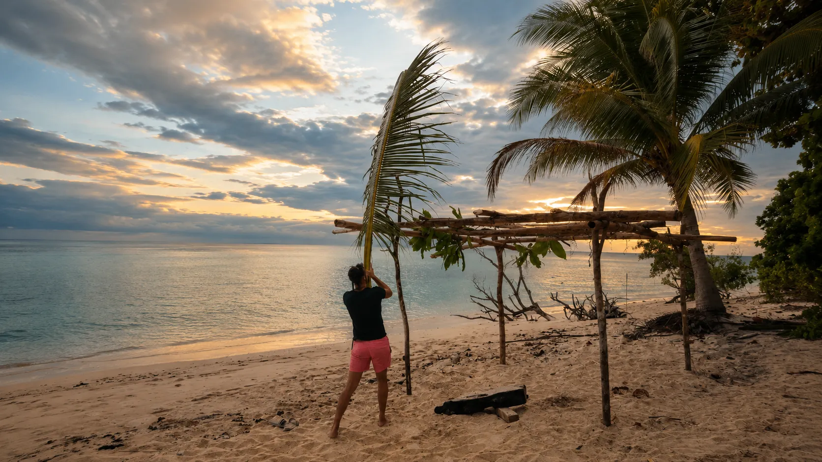 Person adjusting palm fronds on a tropical beach at sunset