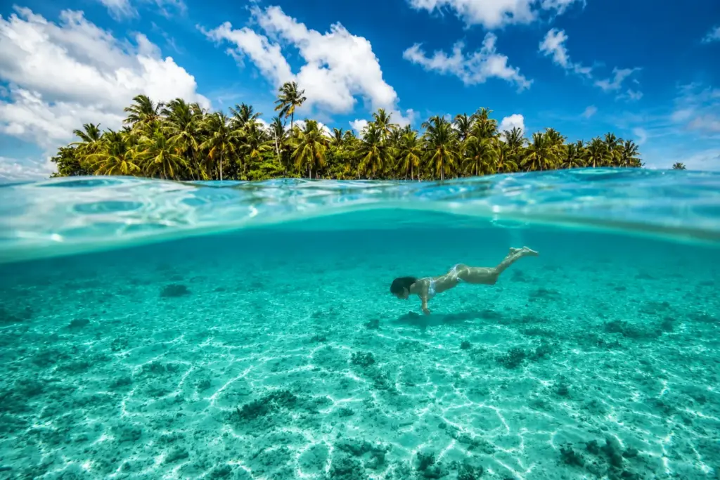 Woman swimming in clear turquoise water near a tropical island with palm trees.